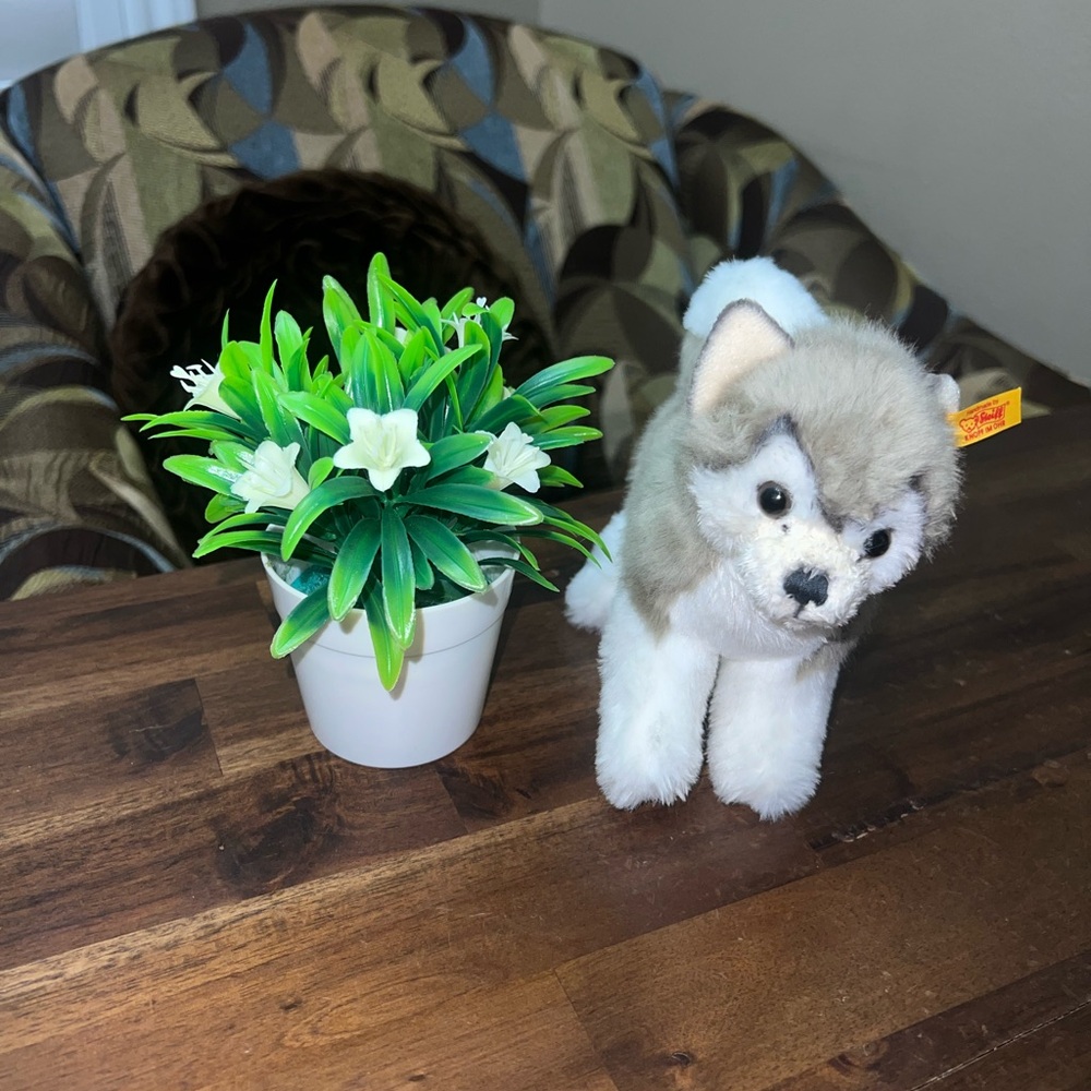 Steiff Bernie the husky malamute Dog Plush Stuffed Animal